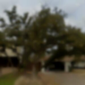 Single Family, TX, 78745 - Needs minor repairs