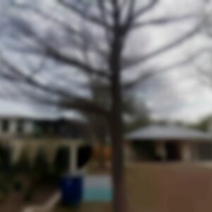 Single Family, TX, 78703 - Needs major repairs