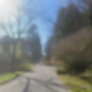 Single Family, GA, 30316 - Move-In ready
