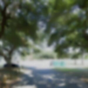 Single Family, LA, 70118 - Move-In ready