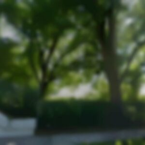 Single Family, OH, 44104 - Needs major repairs
