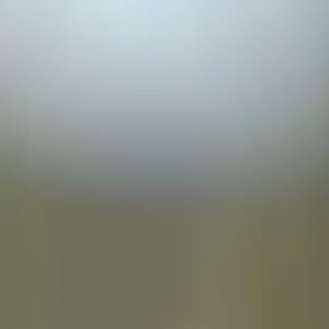 Single Family, CA, 90059 - Needs major repairs
