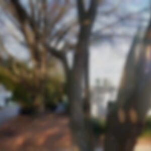 Townhouse, NC, 28207 - Needs minor repairs