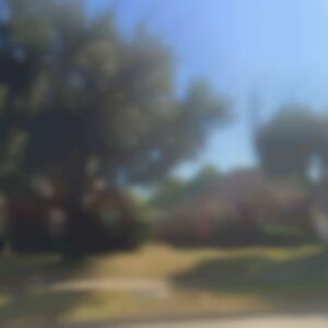 Single Family, TX, 77008 - Needs major repairs