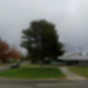 Single Family, CA, 95818 - Needs minor repairs