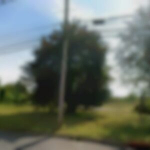 Single Family, NJ, 07753 - Needs major repairs