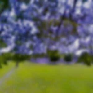 Single Family, IL, 60605 - Tear-down/land value only